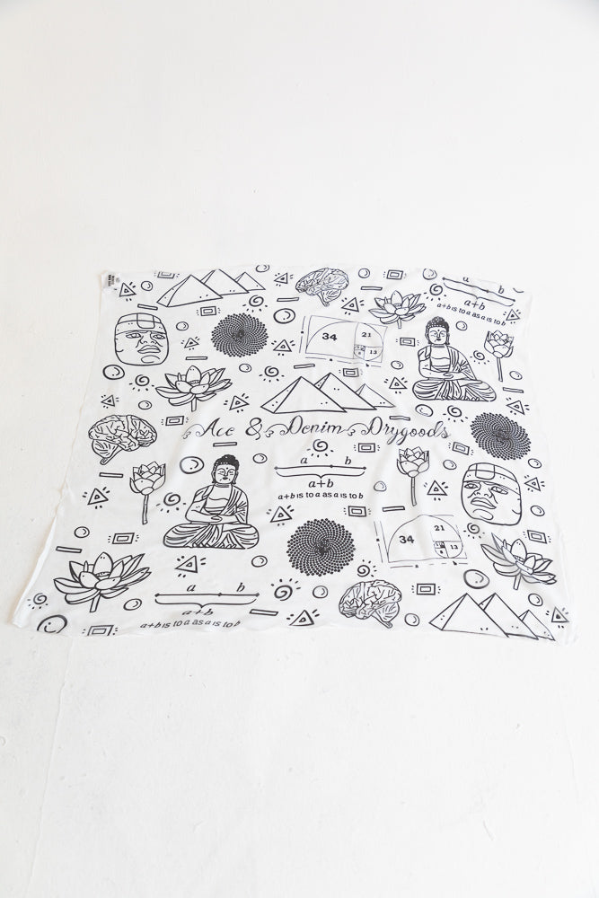 Secrets of the Universe Silk Scarf